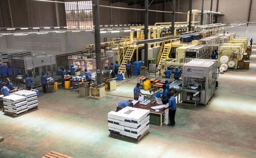 廣東夫婦掘金海外中產寶媽市場，低調年賺32億，啟動上市計劃