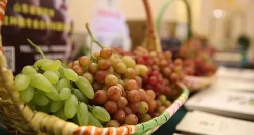 農產品區域品牌建設七大陷阱與銷售突破策略