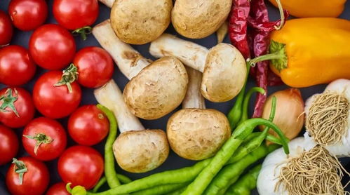 疫情當前，寧夏農產品產銷兩旺，發展信心十足