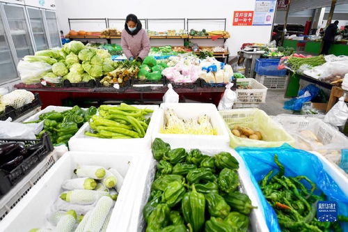 應對寒潮挑戰，筑牢農產品生產供應防線